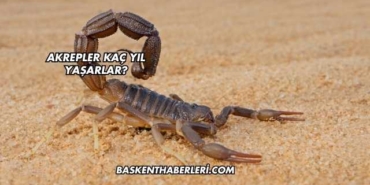 Akrepler Kaç Yıl Yaşarlar?