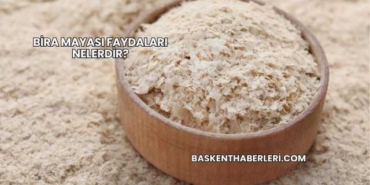 Bira Mayası Faydaları Nelerdir?