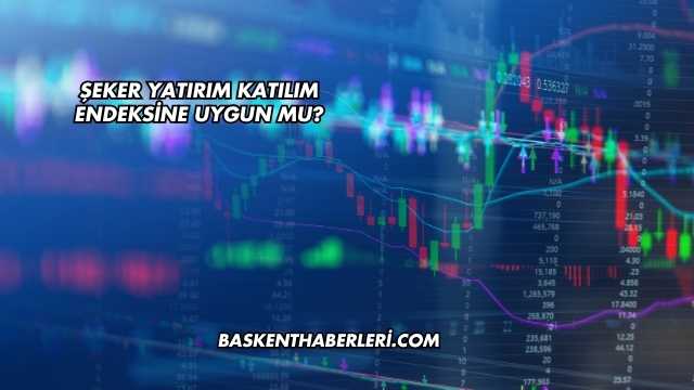 Şeker Yatırım Katılım Endeksine Uygun mu?