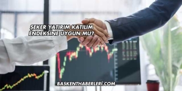 Yiğit Akü Katılım Endeksine Uygun mu?