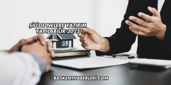 Şili’de Nelere Yatırım Yapılabilir 2025