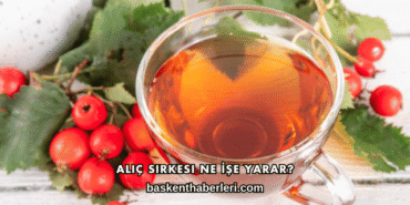 Alıç Sirkesi Ne İşe Yarar?