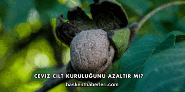 Ceviz Cilt Kuruluğunu Azaltır mı?