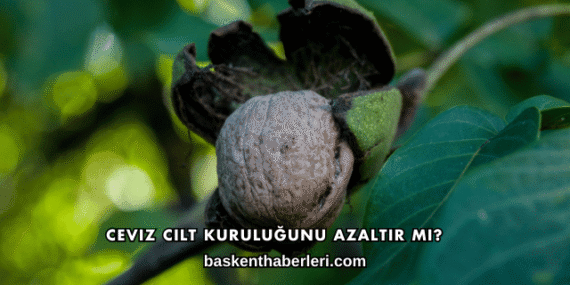 Ceviz Cilt Kuruluğunu Azaltır mı?