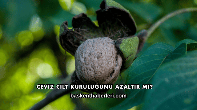 Ceviz Cilt Kuruluğunu Azaltır mı?