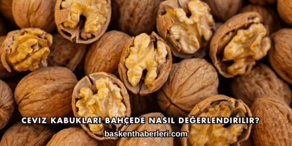 Ceviz Kabukları Bahçede Nasıl Değerlendirilir?