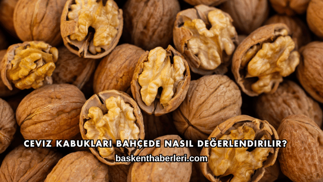 Ceviz Kabukları Bahçede Nasıl Değerlendirilir?