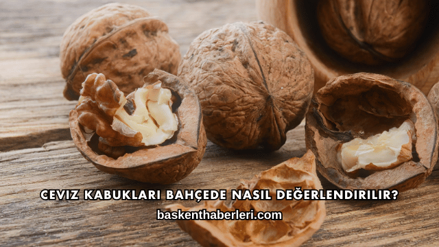 Ceviz Kabukları Bahçede Nasıl Değerlendirilir?
