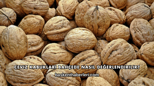 Ceviz Kabukları Bahçede Nasıl Değerlendirilir?