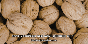 Ceviz Kabukları Geri Dönüştürülür mü?