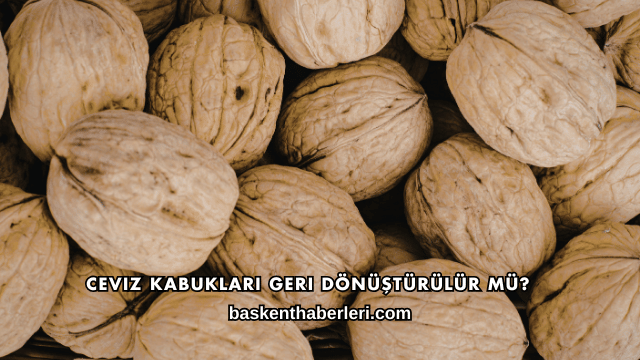 Ceviz Kabukları Geri Dönüştürülür mü?