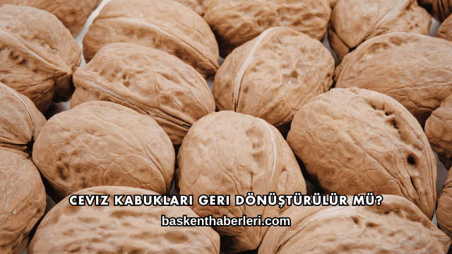 Ceviz Kabukları Geri Dönüştürülür mü?