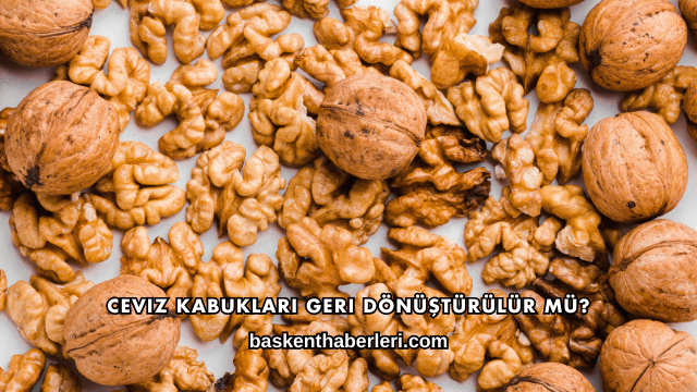 Ceviz Kabukları Geri Dönüştürülür mü?