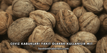 Ceviz Kabukları Yakıt Olarak Kullanılır mı?