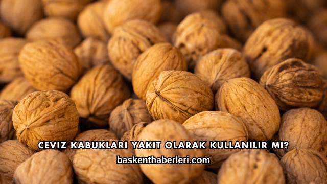 Ceviz Kabukları Yakıt Olarak Kullanılır mı?