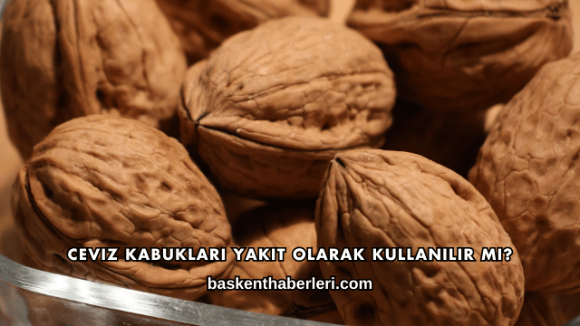 Ceviz Kabukları Yakıt Olarak Kullanılır mı?