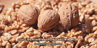 Ceviz Konsantrasyonu Artırır mı?