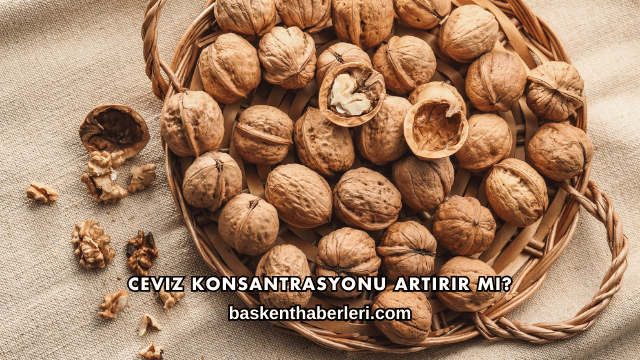 Ceviz Konsantrasyonu Artırır mı?