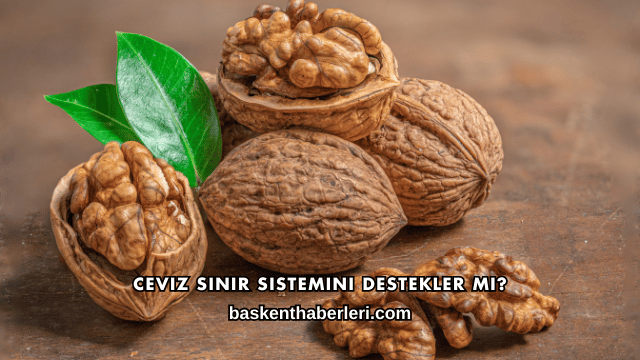 Ceviz Sinir Sistemini Destekler mi?