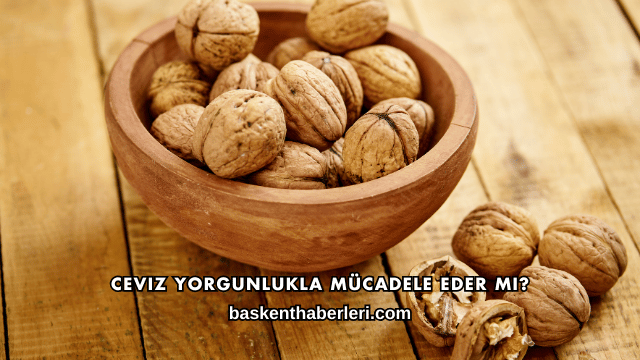Ceviz Yorgunlukla Mücadele Eder mi?