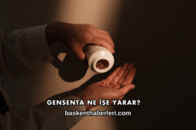 Gensenta Ne İşe Yarar?