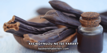 Keçiboynuzu Ne İşe Yarar?