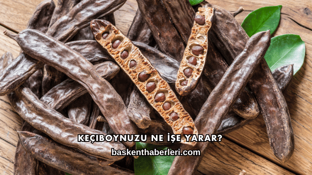 Keçiboynuzu Ne İşe Yarar?