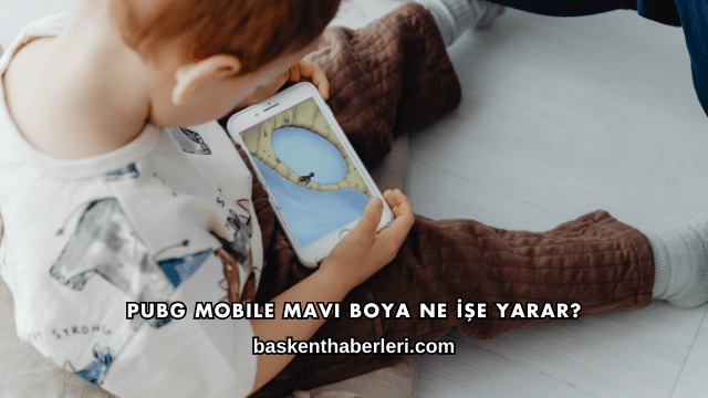 Pubg Mobile Mavi Boya Ne İşe Yarar?
