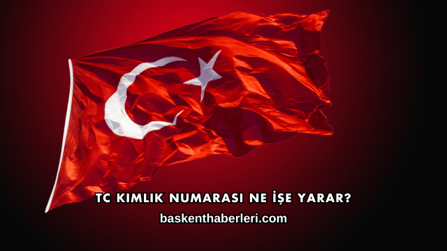 TC Kimlik Numarası Ne İşe Yarar?