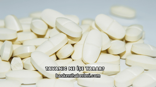 Tavanic Ne İşe Yarar?