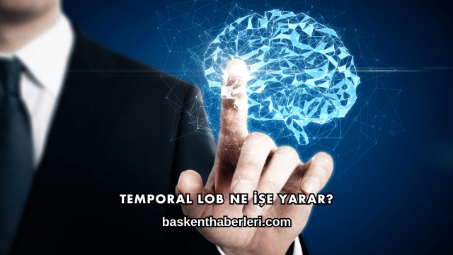 Temporal Lob Ne İşe Yarar?